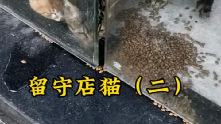 这样给水 我聪明吧