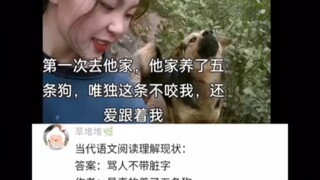 要不是我语文好，不然还真不知道你说的话什么意思？