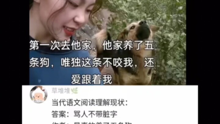 要不是我语文好，不然还真不知道你说的话什么意思？