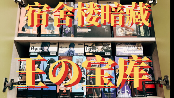哥们一年买300个figma放宿舍？！