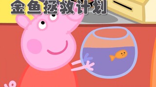 金鱼：能救就救，不救拉倒好吗