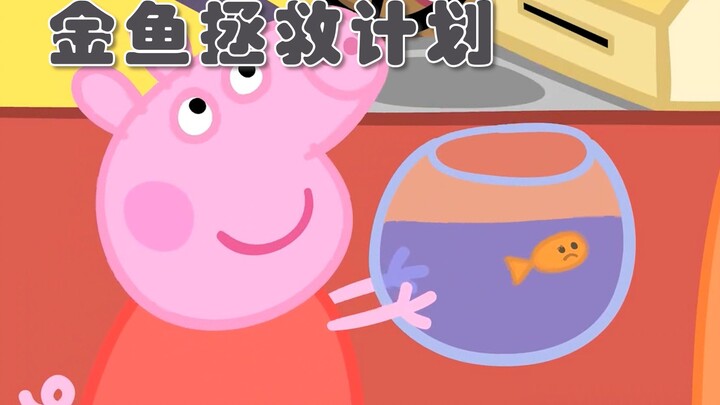 金鱼：能救就救，不救拉倒好吗