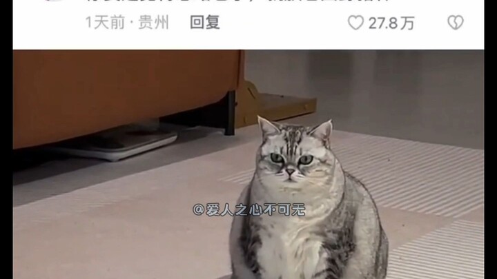 有时候一碗水端不平，是有原因的