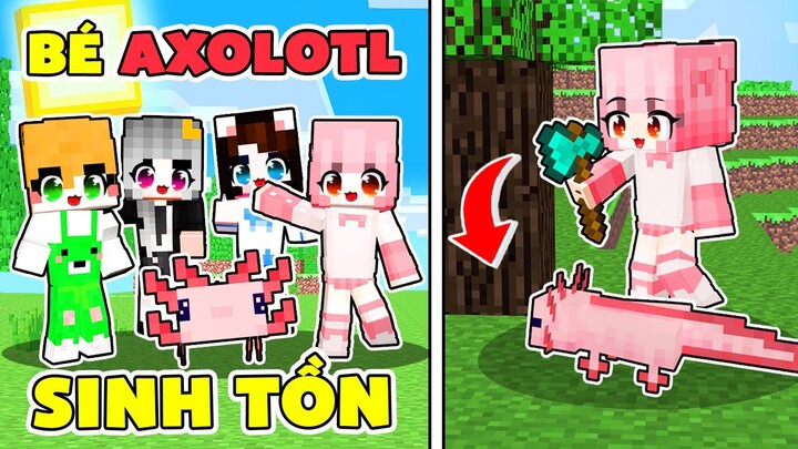 Mimi Cùng Hội Chị Em Hướng Dẫn Bé Axolotl Sinh Tồn Trong Minecraft | Hero Team Animation