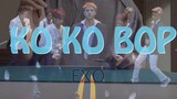 ใช้ปากกาเคาะจังหวะ Ko Ko Bop-EXO