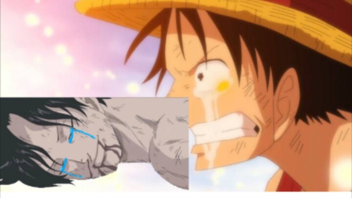 luffy meet Ace ⭐️
