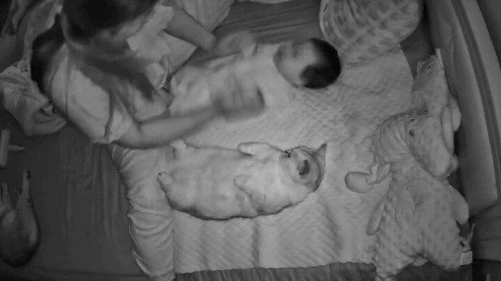 Ibu melakukan senam pengeluaran gas untuk bayi dan kucingnya, mangkuk berisi air ini benar-benar dia