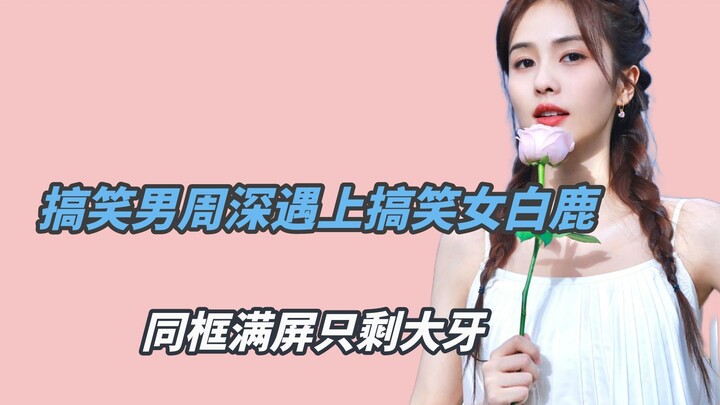 搞笑男周深遇上搞笑女白鹿，两人在一起分贝值飙升