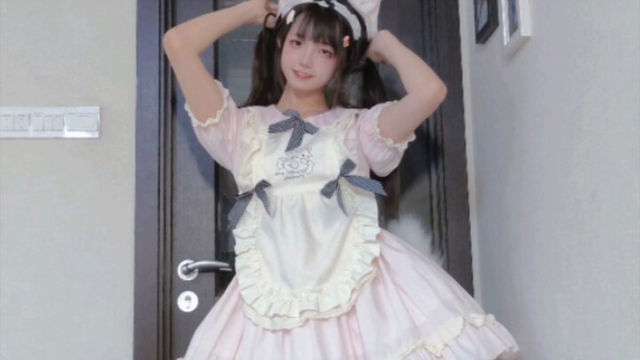 มาดูกันว่าใครเป็นคนโง่