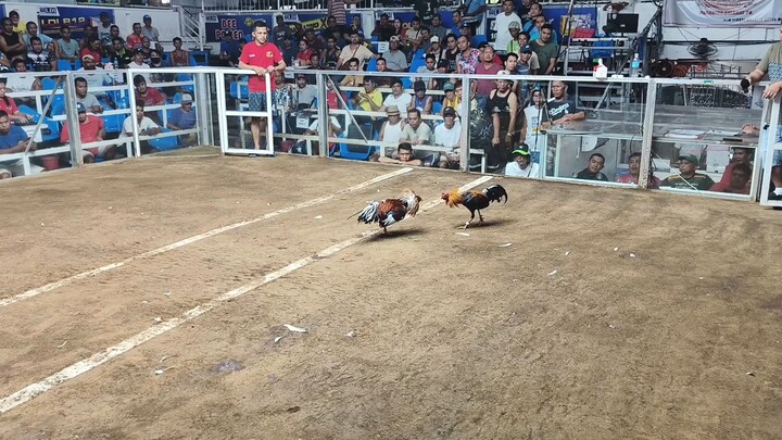 1st fight lose September 17, 2025 Elorde