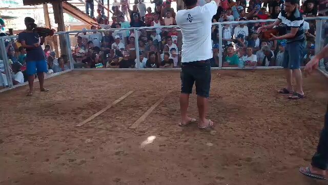 win melsim