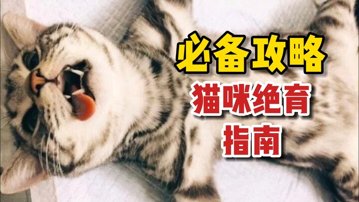 Some Common Questions About Cat Spaying/Neutering...