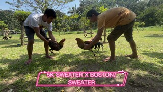 DINK FAIR 5k VS BOSTON SWEATER