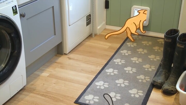 Animasi live-action yang dipuji habis-habisan ada di sini!