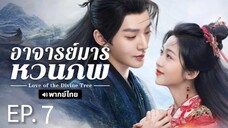ตอนที่ 7