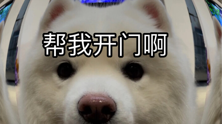 Baby, I’m back from hanging out!