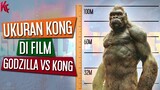 Inilah Ukuran Tubuh KONG di Film Godzilla vs Kong 2020!