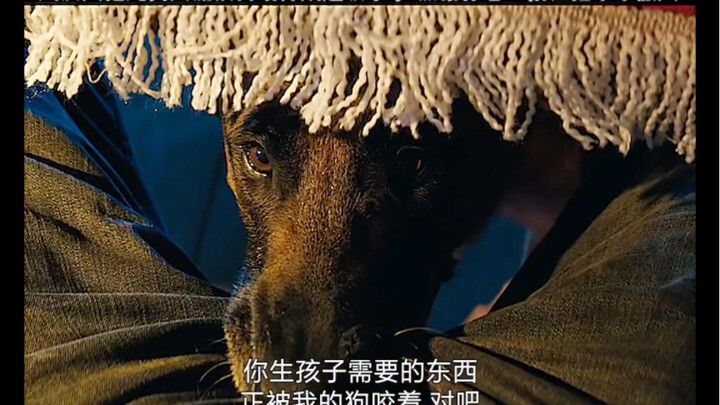 阁下可曾听闻过“狗神”