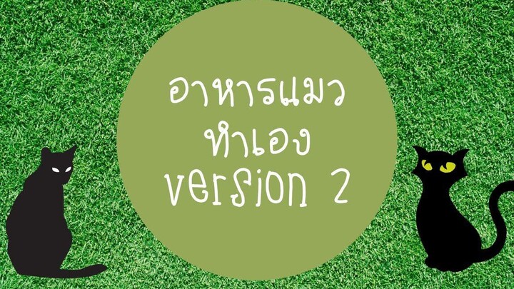 อาหารแมวทำเองได้ง่ายจัง version 2 ป้ามาแชร์