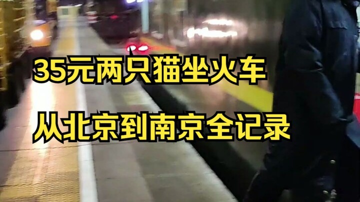 บันทึกวิดีโอพาสัตว์เลี้ยง 2 ตัวนั่งรถไฟจากปักกิ่งไปหนานจิง ราคา 35 หยวน