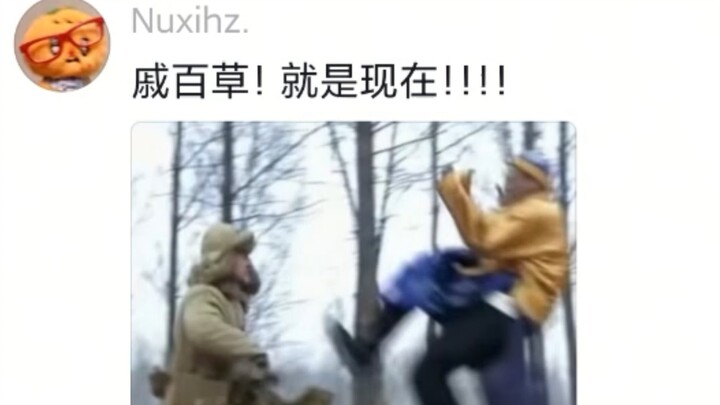 Rise again, my love!!!