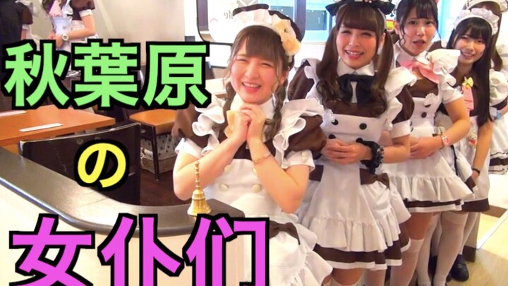 【初体验】我去了日本秋叶原的女仆咖啡厅！羞恥play