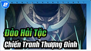 Thời Đại Này Tên Là Râu Trắng | Đảo Hải Tặc Chiến Tranh Thượng Đỉnh_2