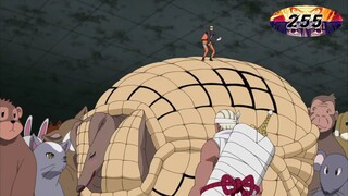 naruto shipp. tdub ep 255-257