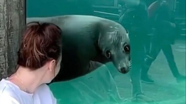 🐱 “Light! Fast!”🐱