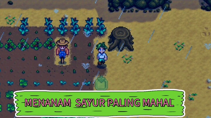 ini dia game berkebun paling banyak di donload