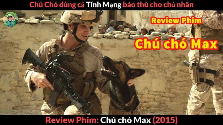chú chó Dùng cả Tính Mạng  Báo Thù cho Chủ - review phim chú chó Max