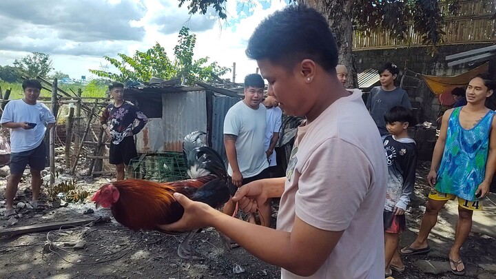 Loss β€οΈ Takbo π€£