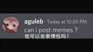 [Beluga and His Buddies] Yu Sinran is actually aguleB! Shocking