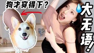 Is an adult size M perfect for a puppy?! Women's clothing sizes shouldn't be too outrageous!