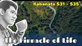 The Pinnacle of Life / Kabanata 531 - 535