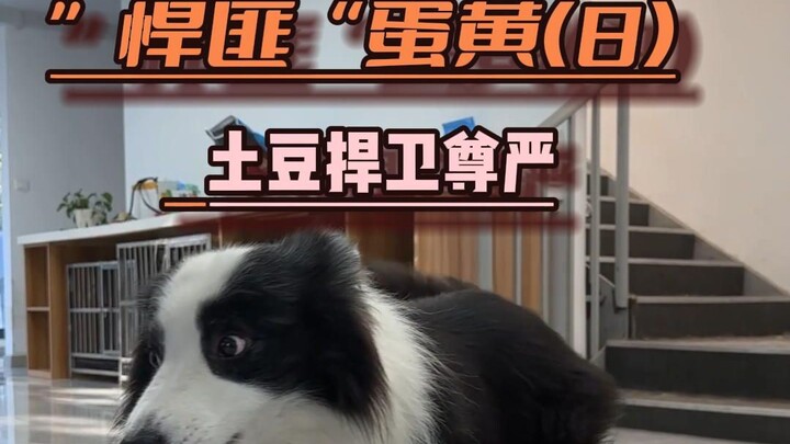 Lòng đỏ tập 8, phần lời do các bạn đảm nhận nhé!