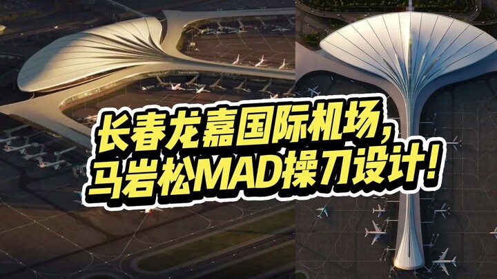 Tác phẩm thiết kế mới của Mã Nham Tùng tại Sân bay Quốc tế Trường Xuân có hình dáng giống hệt lá bạc