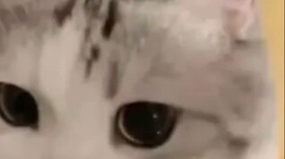 Is Tang San really a bad person?