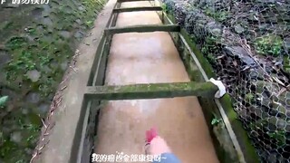 很内向，出门只走下水道