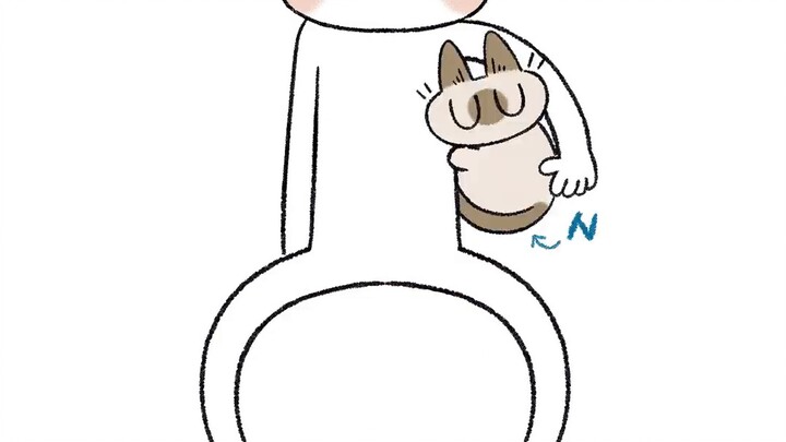 [Siamese Cat Adzuki Douchi] Nihao, maybe you will have an insomniac?