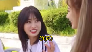 墨魚兩人的仇好像永遠報不完