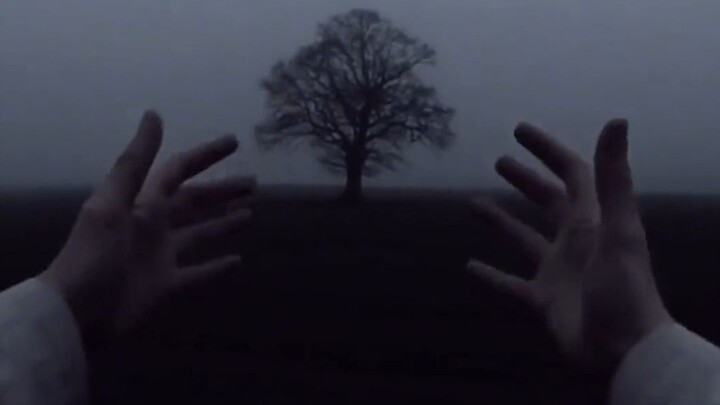 “What kind of person would actually enjoy this kind of vibe?”