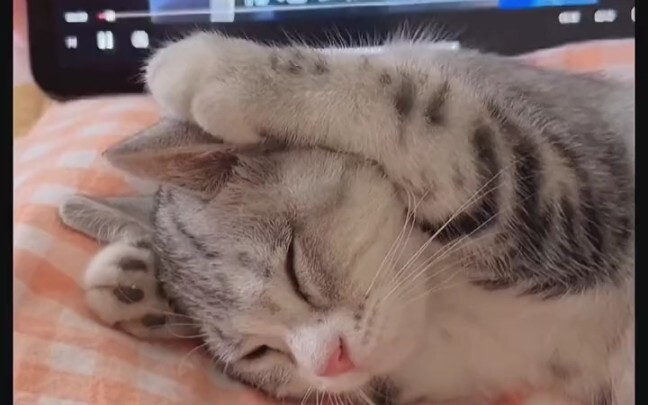 I’m not listening—I’m just going to sleep, so don’t disturb me.