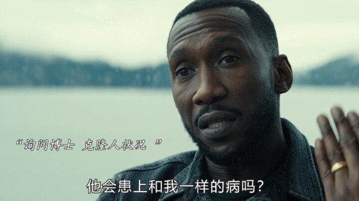 “以爱之名让爱延续”