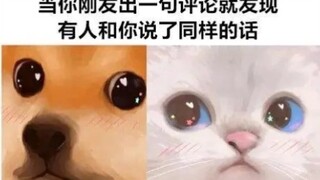 [emo一下？]转换器是双向的。