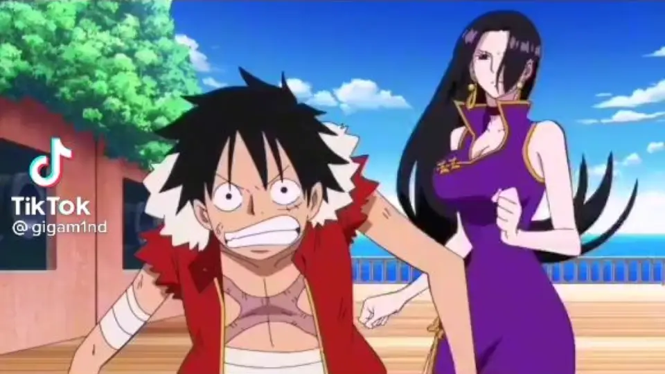 Luffy Hancock Bilibili