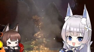 讨 债 狐 狸