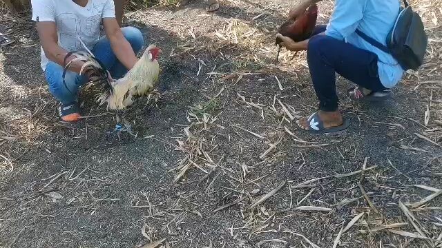 Pangatlong panalo k na