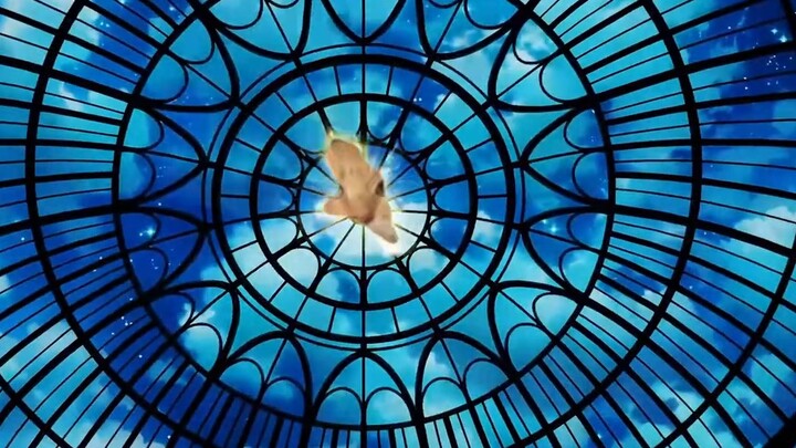 Menyerang Hakimi: 🐱Putra seorang lanjut usia🐱