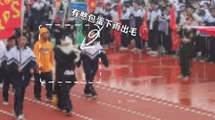 当福瑞控在学校出毛然后上台跳舞（）